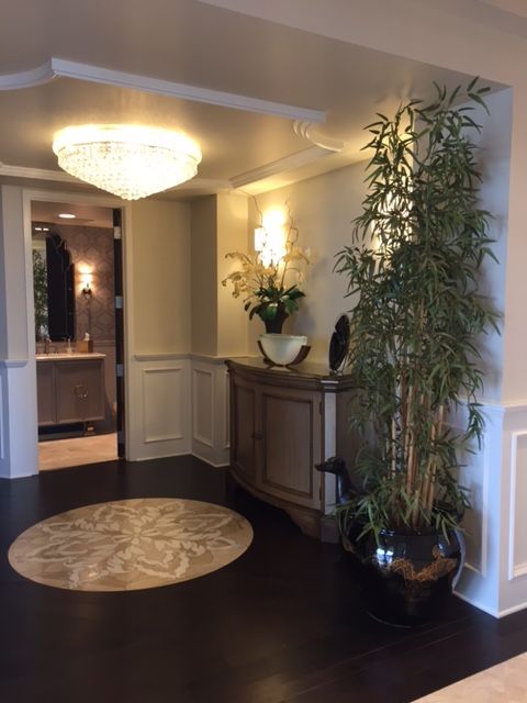 A room with a plant and a chandelier on the ceiling