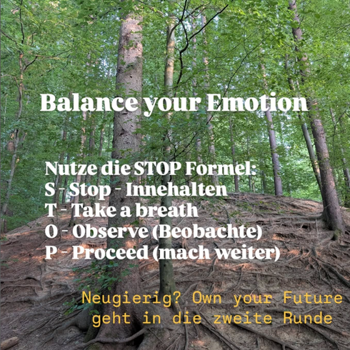 Text auf Wald: „Bringen Sie Emotionen ins Gleichgewicht“ mit STOP-Formel: Anhalten, Durchatmen, Beobachten, Weitermachen.