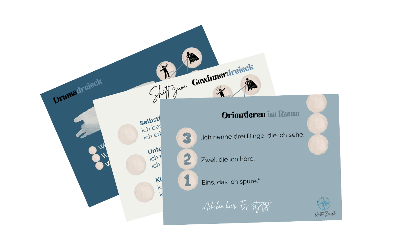 Drei Informationskarten: eine blaue mit weißen Kreisen, eine weiße mit einer Illustration und eine mit einer Liste.