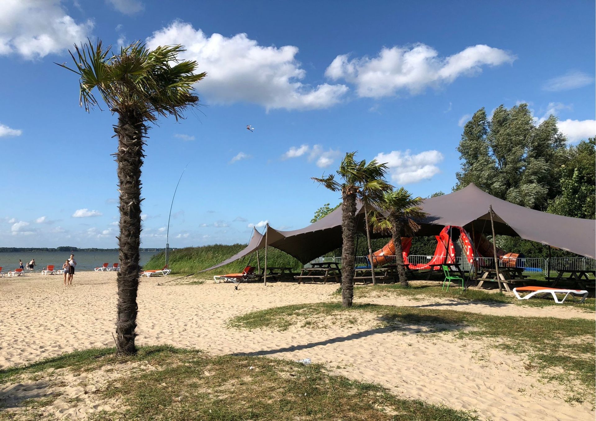 Een palmboom staat midden op een zandstrand naast een tent.