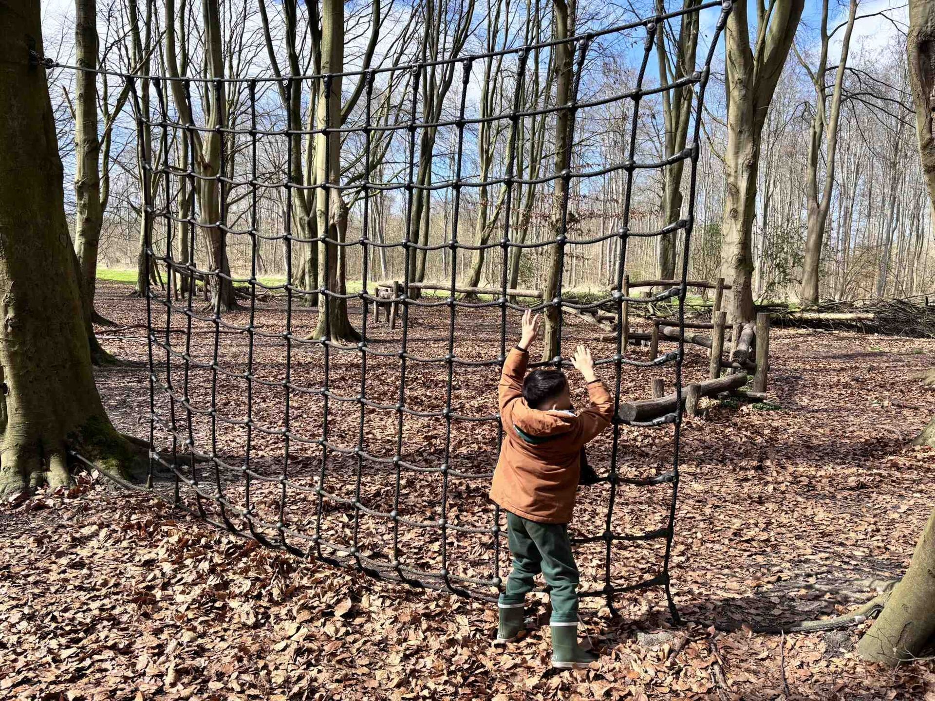 Een jonge jongen klimt in het bos in een touwnet.