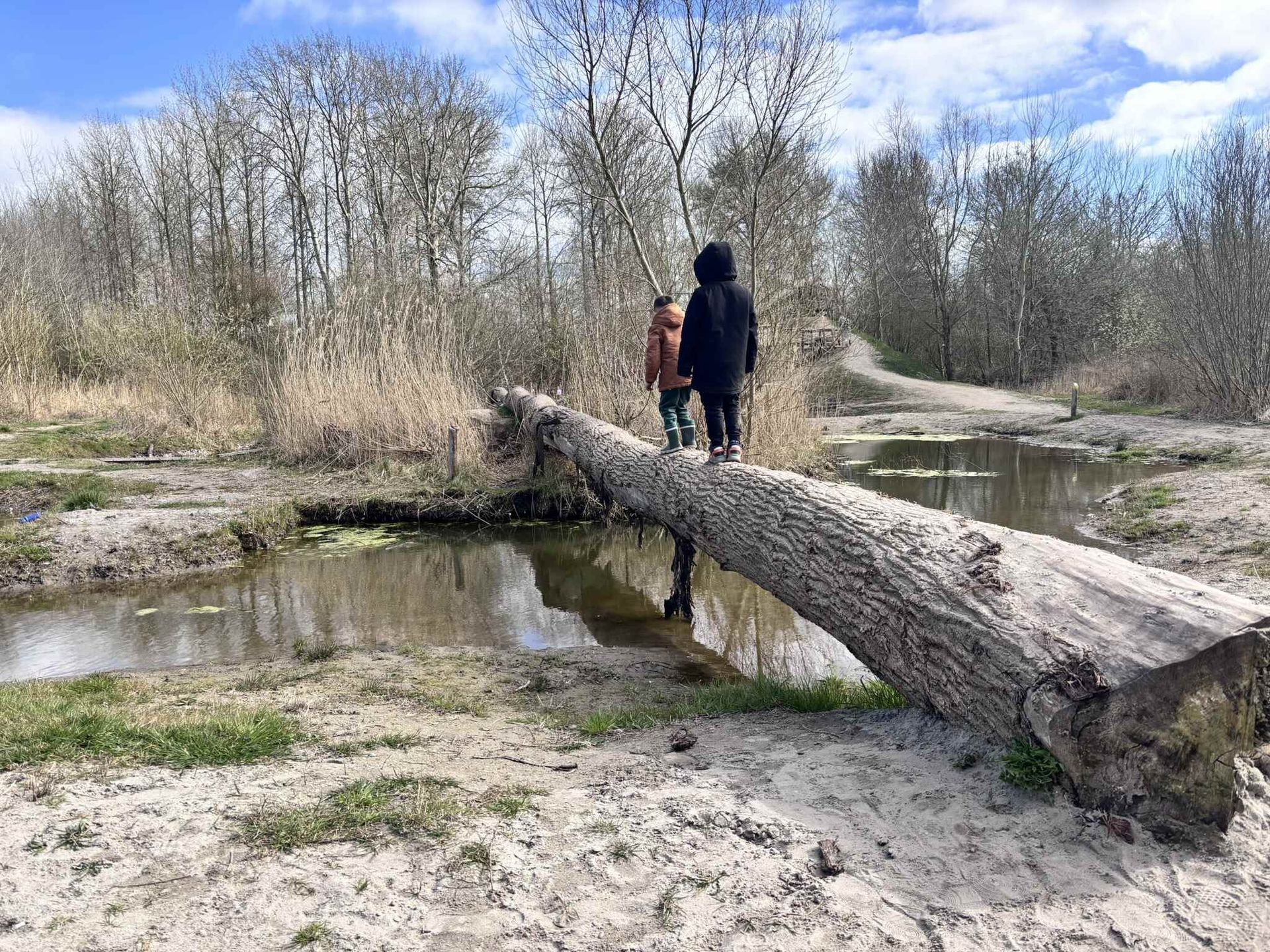 Twee kinderen staan op een boomstam boven een rivier.