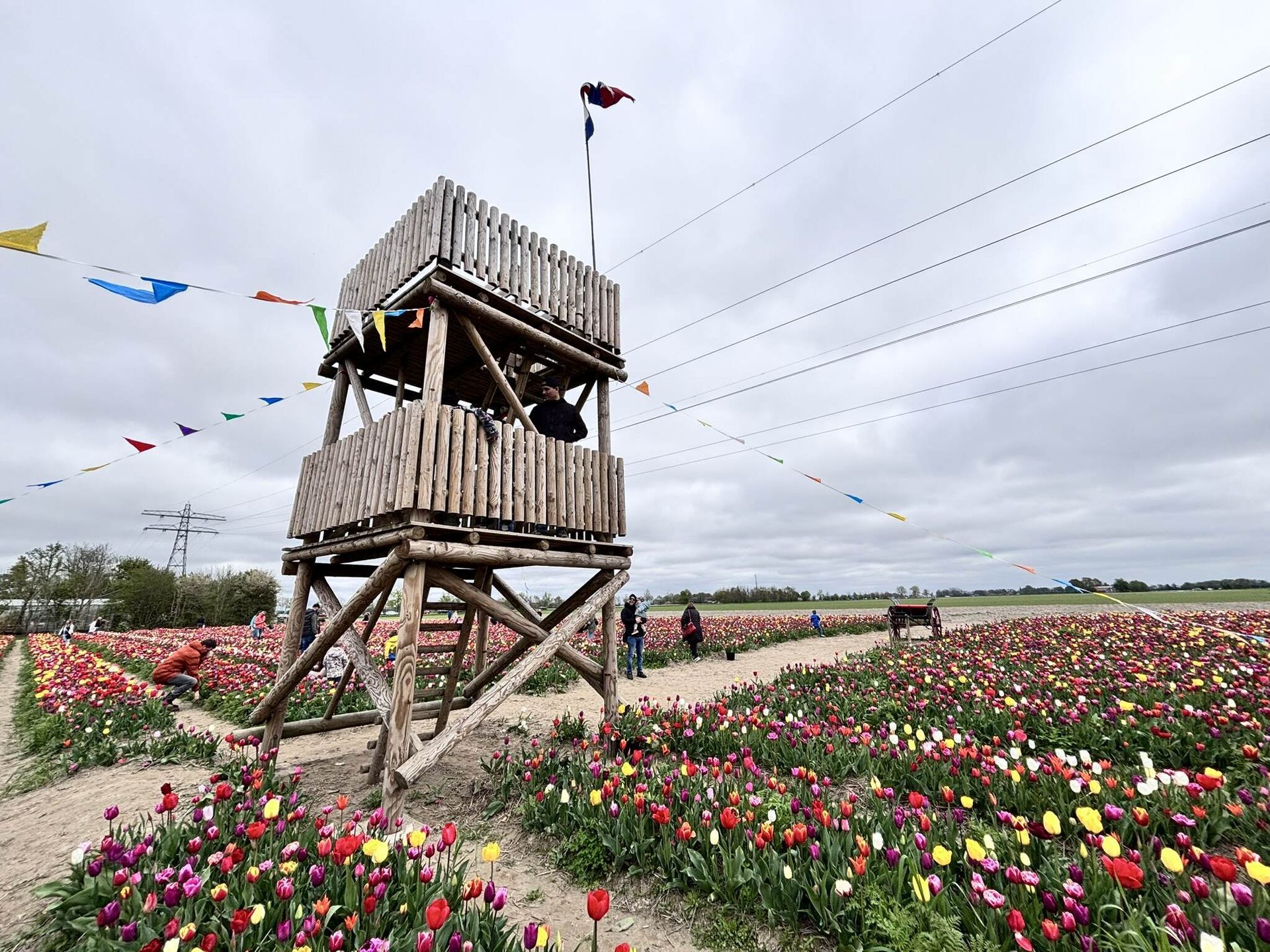 Een houten toren midden in een bloemenveld.
