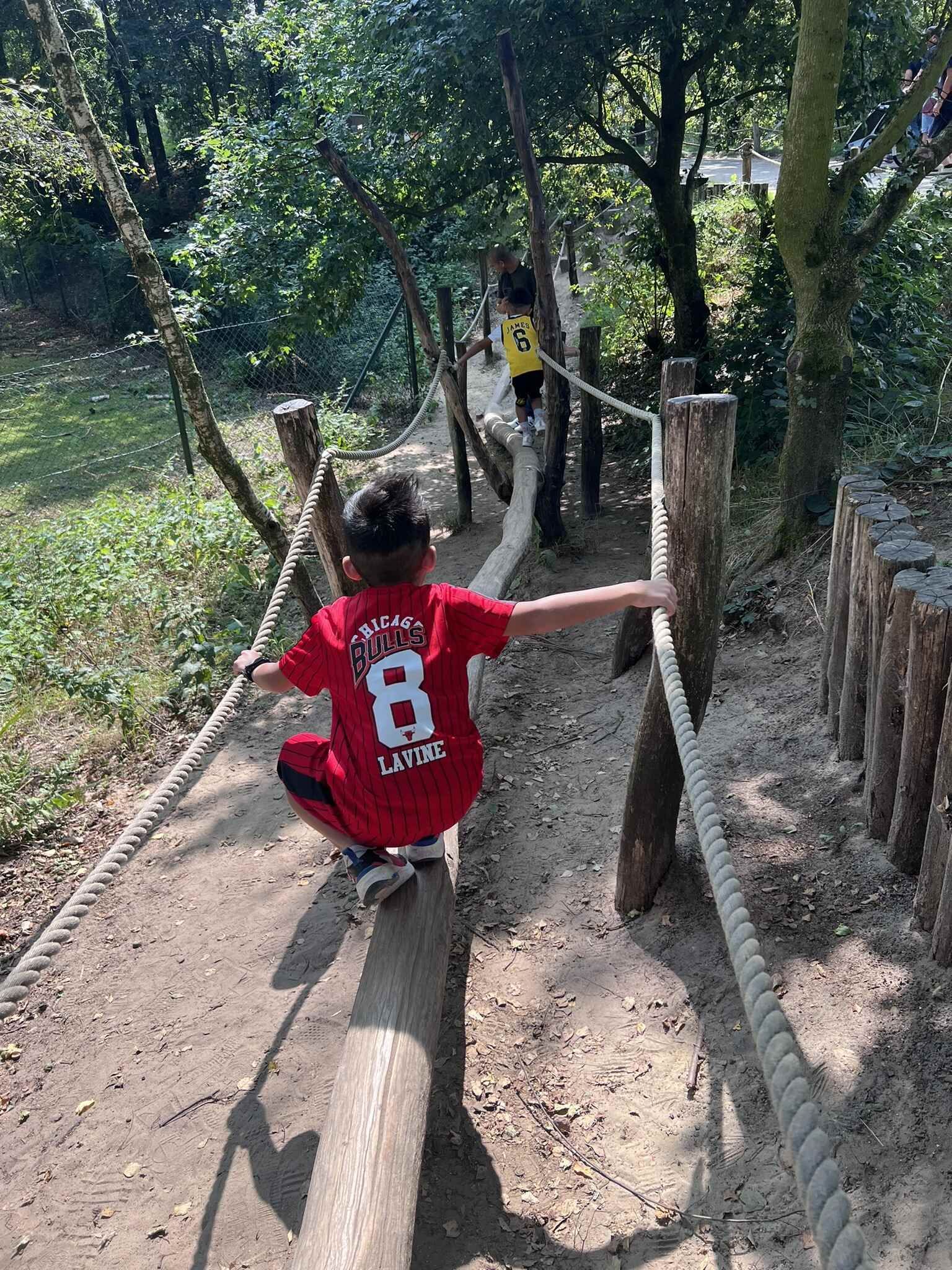 Een jonge jongen in een rood shirt loopt over een touwbrug.