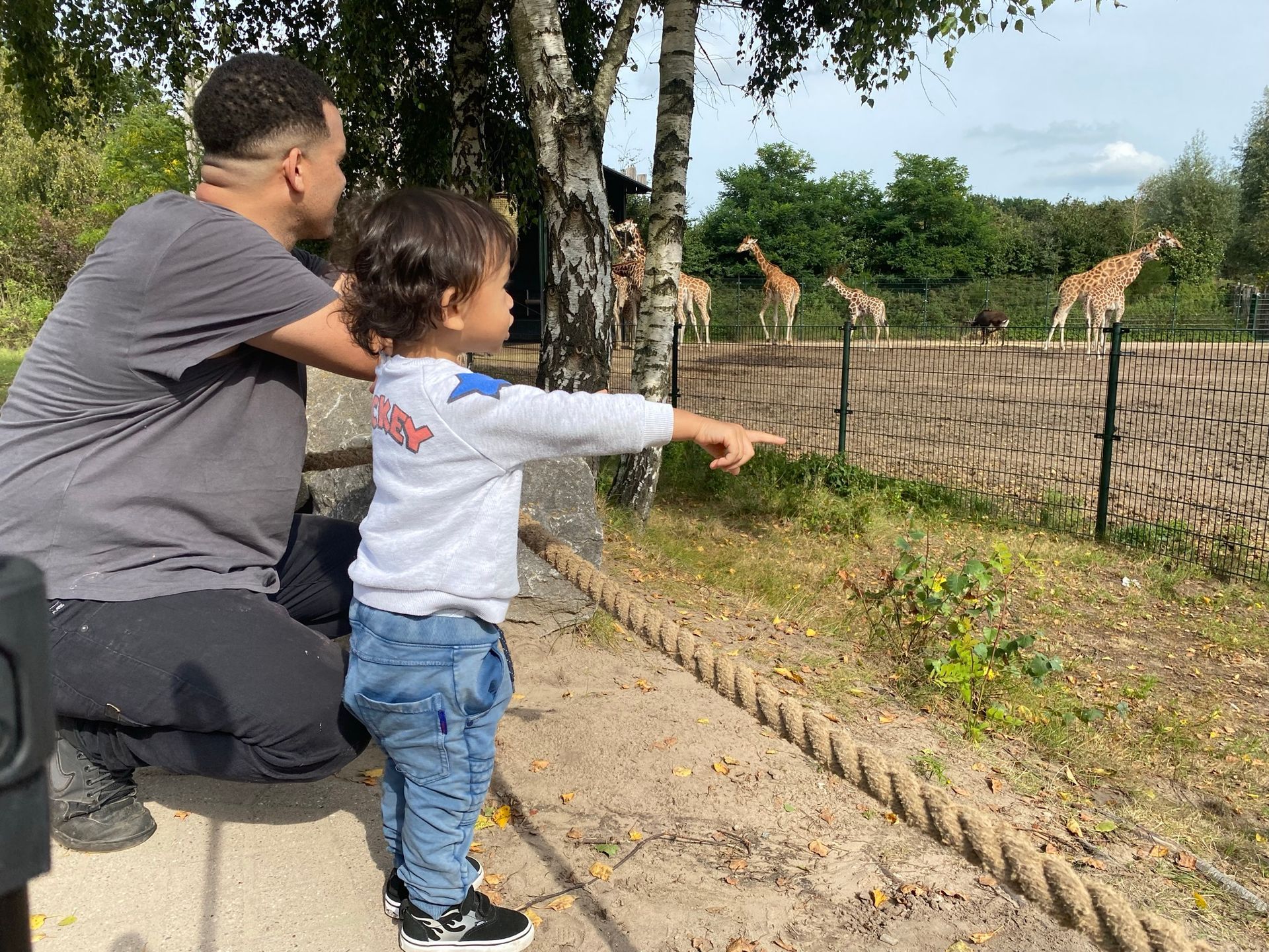 Een man en een kind kijken naar giraffen in een dierentuin.