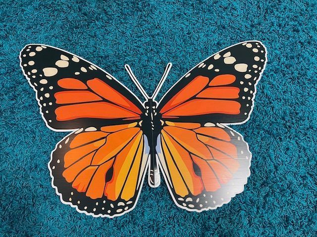 Monarch butterfly with orange, black, and white wings on a teal textured background.