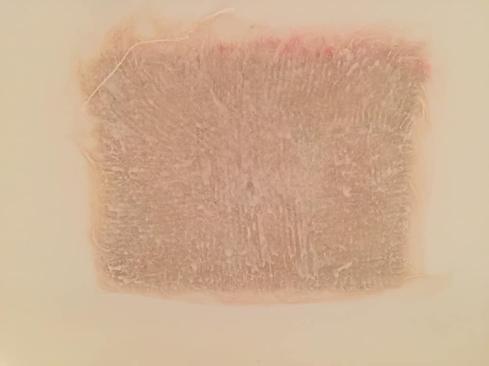 A close up of a piece of paper on a white surface.