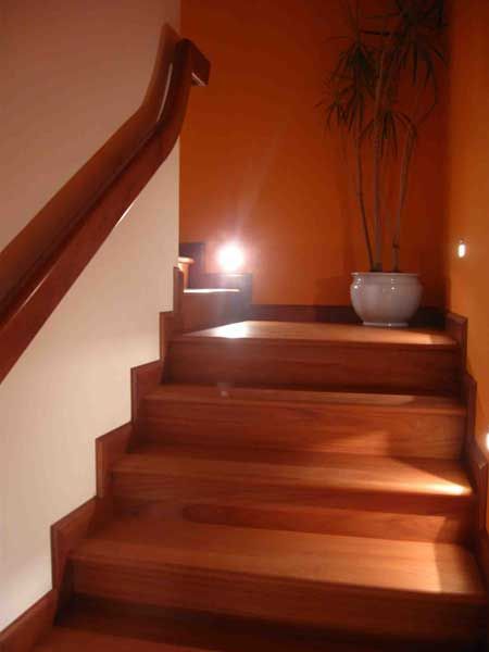 Una scala in legno con corrimano conduce a un pianerottolo dove una pianta in vaso si staglia contro una parete arancione acceso.