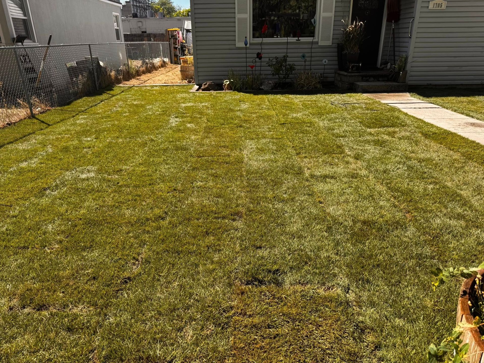 Green lawn in front of a gray house. Pathway leads to the front door. Sunny day.