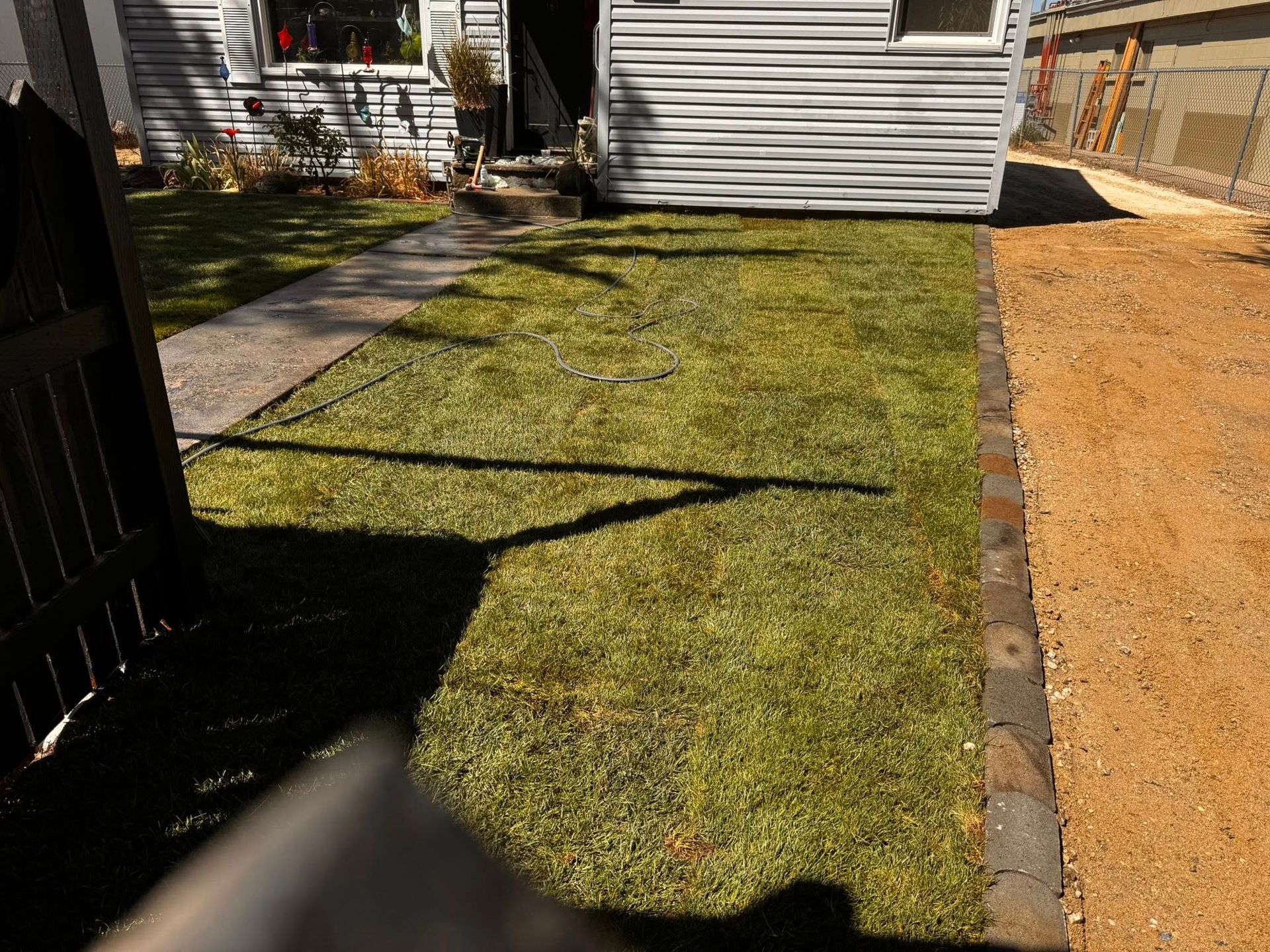 Green grass lawn bordered by a paved walkway and gravel driveway in front of a house.