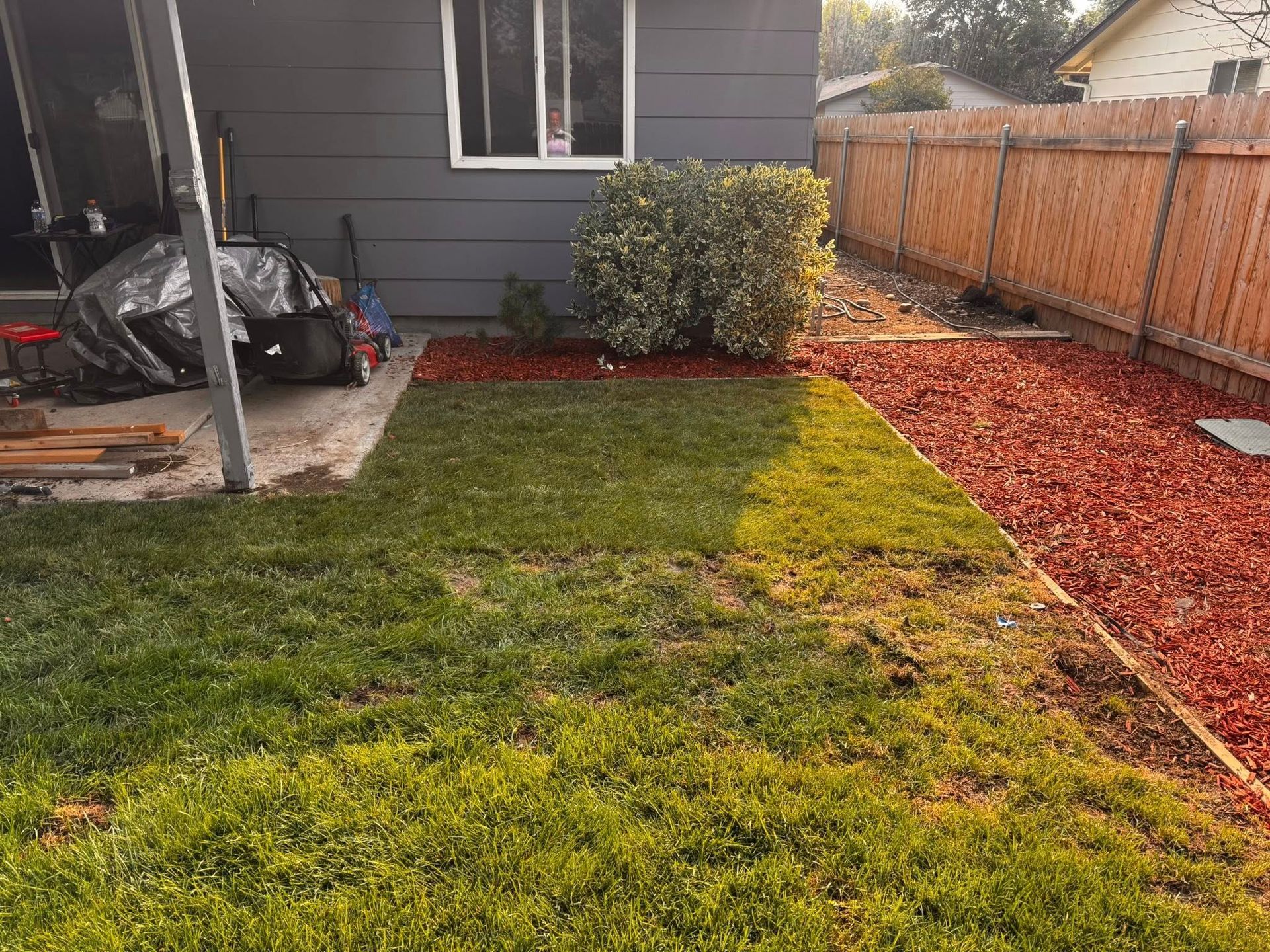 Backyard with lawn, red mulch path, gray house, wooden fence, and small green bush.