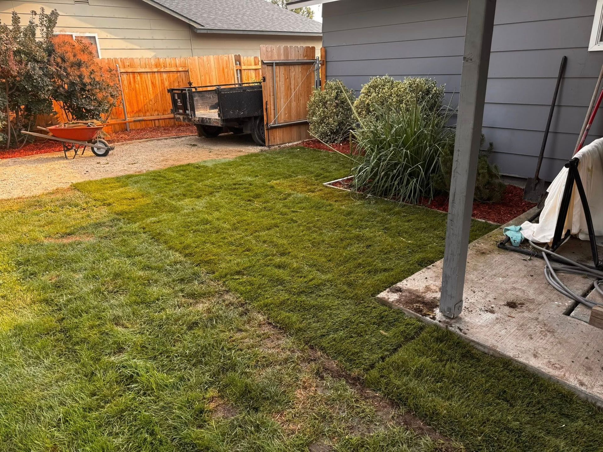 Lush green sod laid in a backyard with a wheelbarrow, dumpster, and wooden fence.