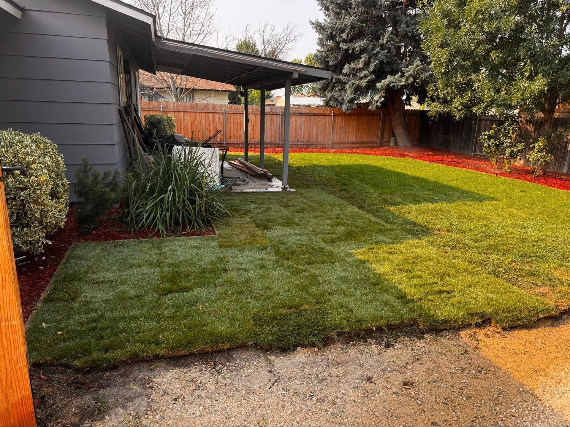 Backyard with freshly laid sod, covered patio, and red mulch border.