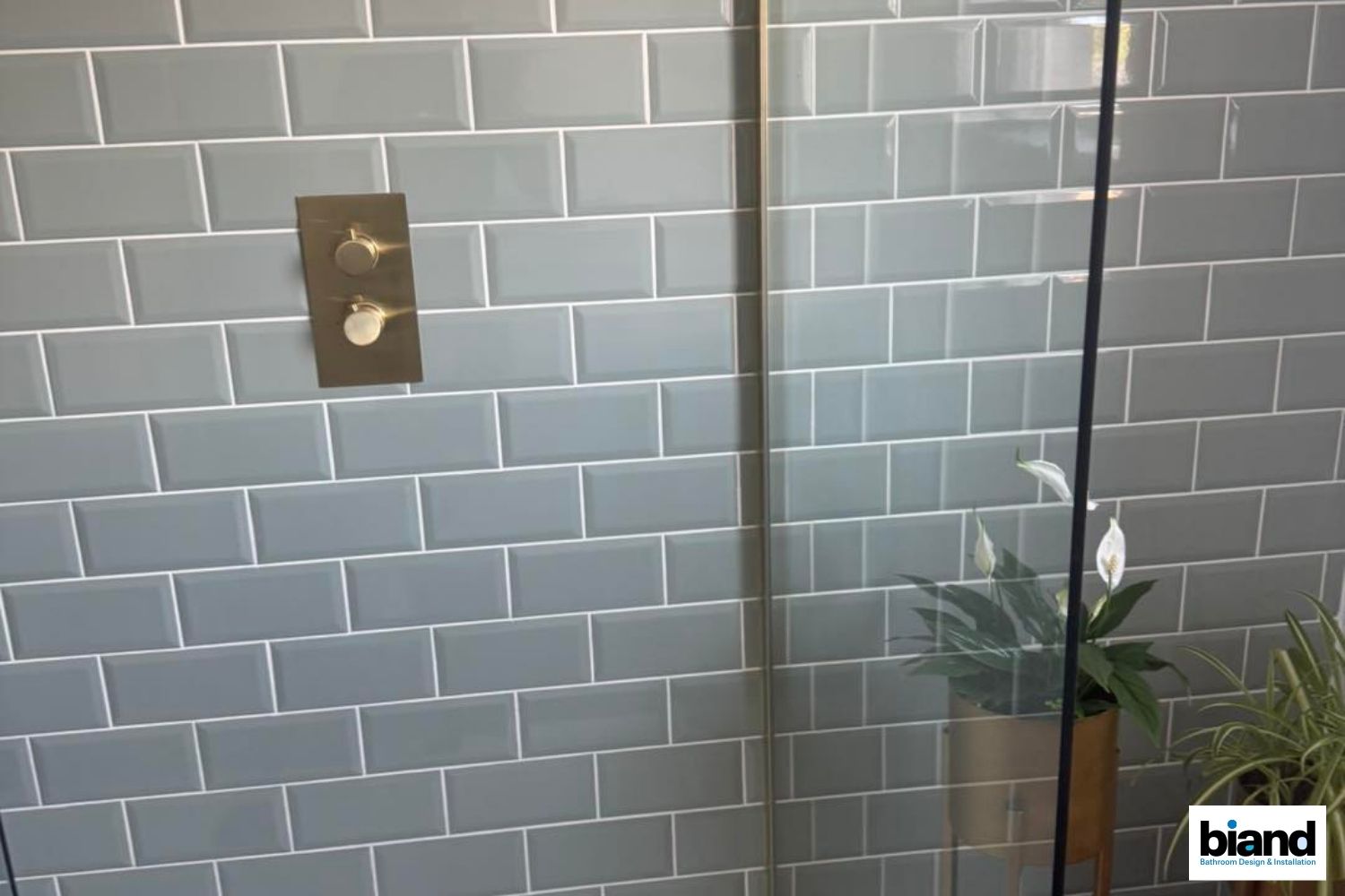 Blue tiled shower with glass door; gold faucet; plant in vase.