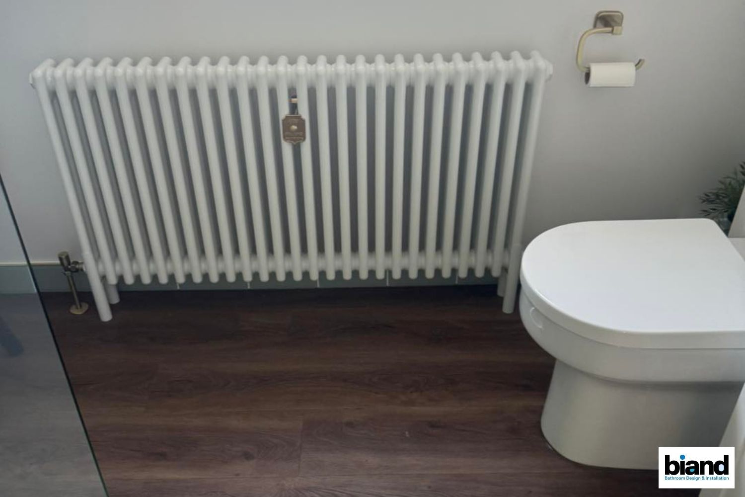 White radiator above dark wood floor next to a white toilet in a bathroom.