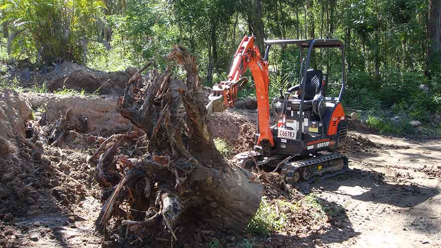 orange excavator with stump