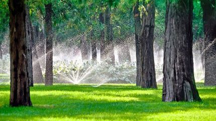 Sprinkler in a lawn — Lawn Service in Twin Cities, MN