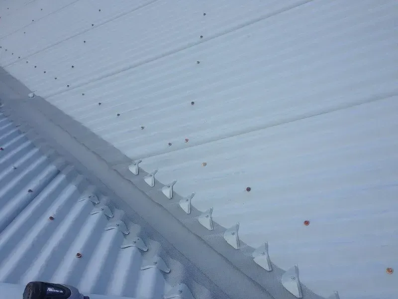 A Gutter Filled With Leaves and Branches on a Roof — Coast Metal Roof & Gutter In Tumbi Umbi, NSW