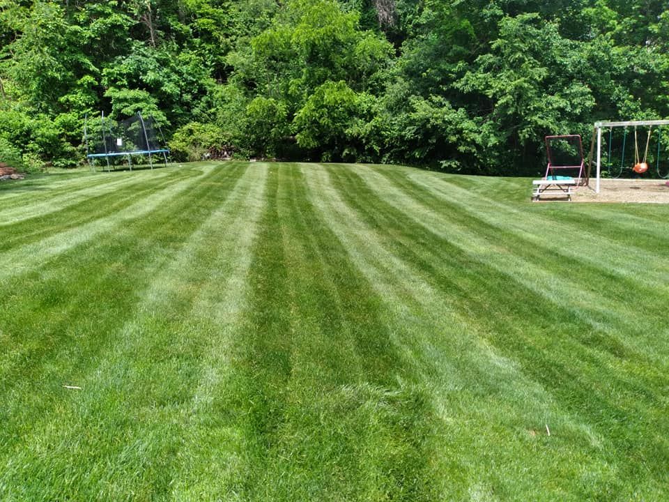 lawn installation