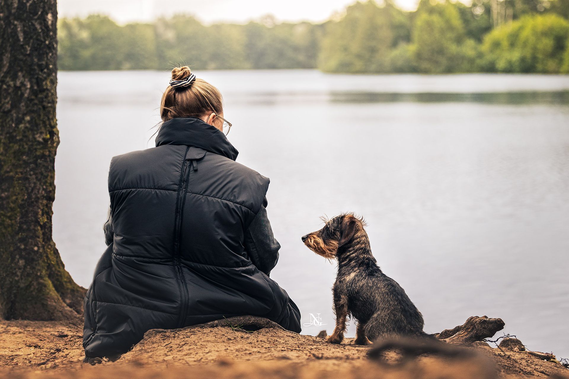 Frau sitzt mit Hund am See , sie schauen sich an. Man sieht die beiden von hinten. 