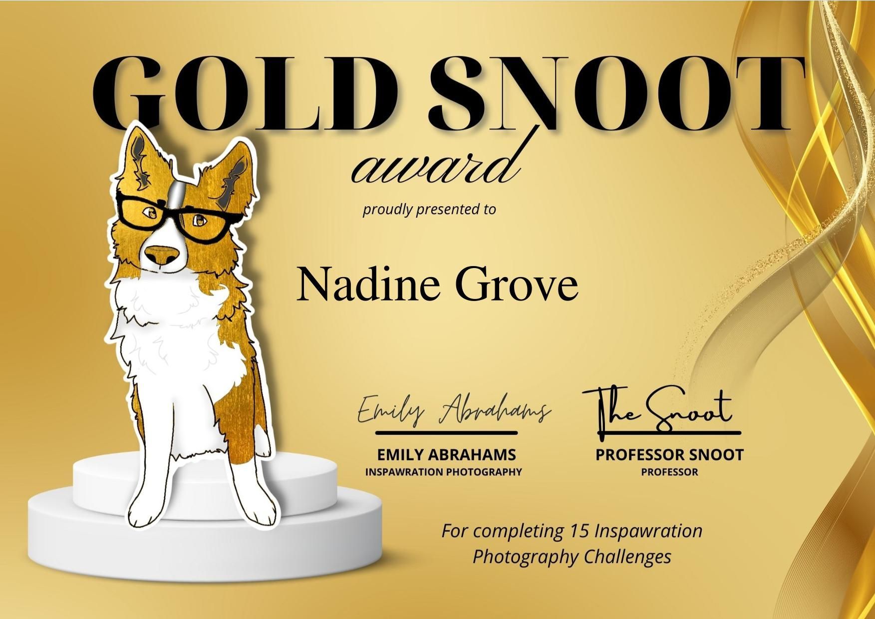 Bild des Gold Snoot Awards von Inspawration Photography für das Abschließen von 15 Fotografie Challenges.