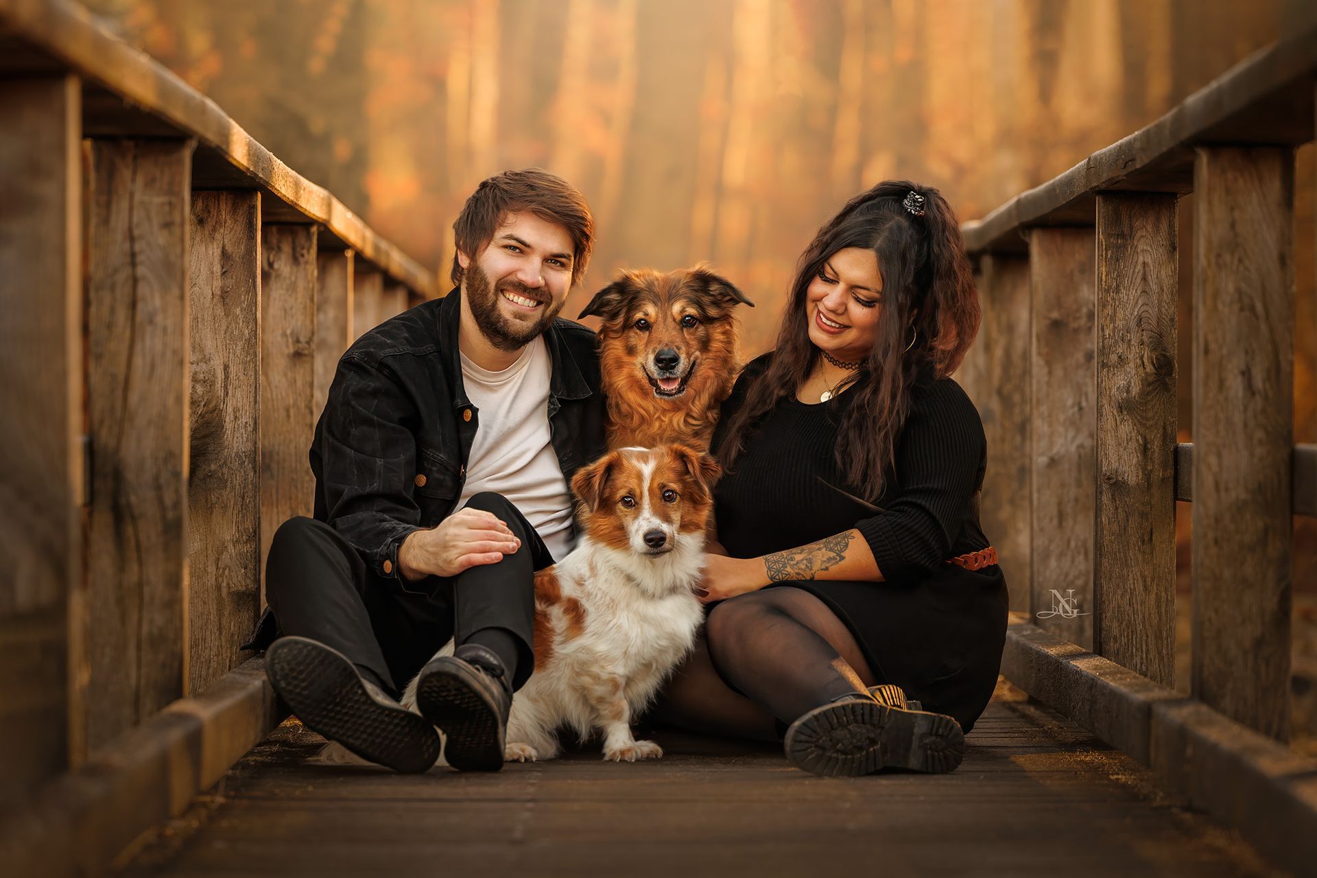 2 Hunde mit ihren Besitzern auf einem Steg in weichem, goldenem Licht.