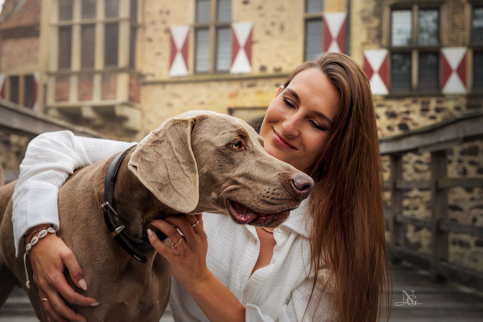 Weimaraner und sein Frauchen vor einem Schloss, der Hund wird liebevoll umarmt.