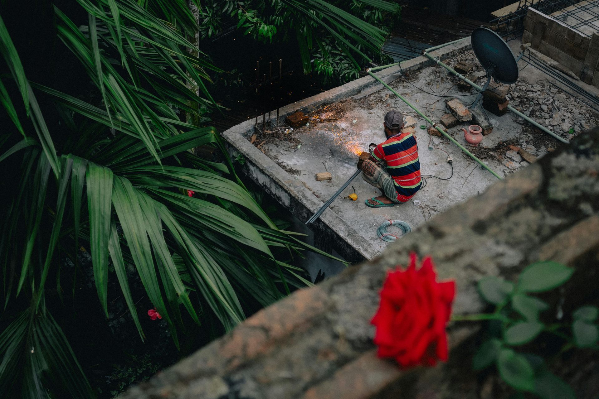 A man is sitting on the roof of a building with a red rose in the foreground.