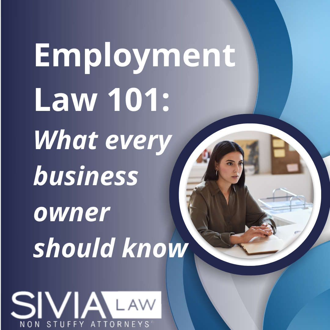 employment-law-101-what-every-business-owner-should-know