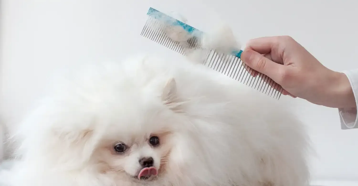 Deshedding comb for pets