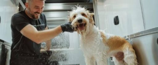 Professional Mobile dog grooming services