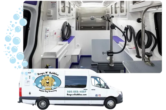 A dog grooming van with a picture of a dog on the side