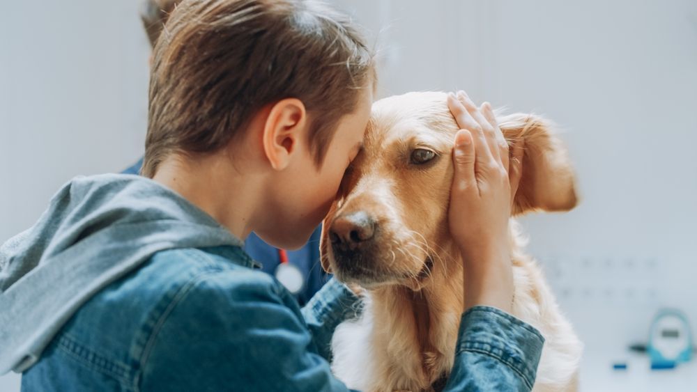 Why mobile grooming in San Ramon is a game-changer for pet parents.