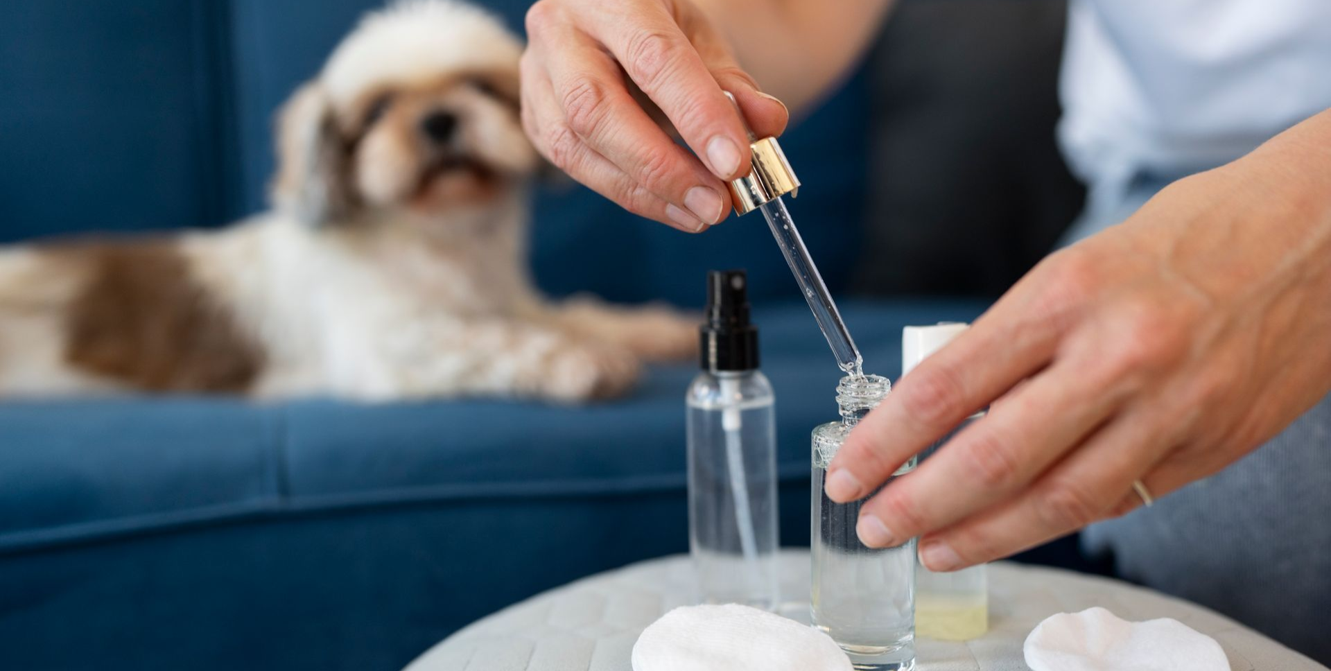 natural+calming+oils+for+dogs