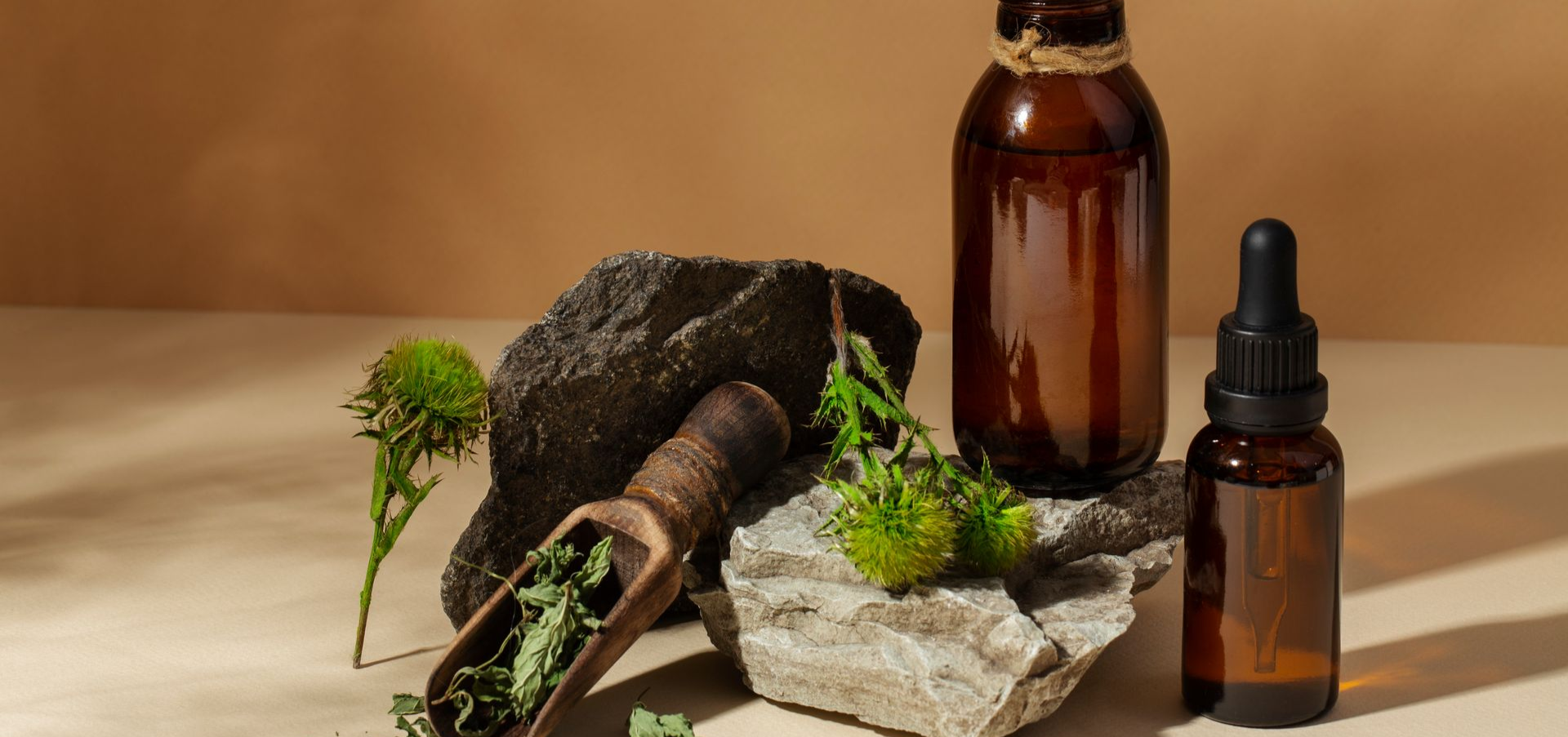 essential+oils+for+dogs