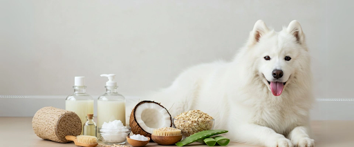 Natural dog skin remedies and how to moisturize dog skin using home ingredients