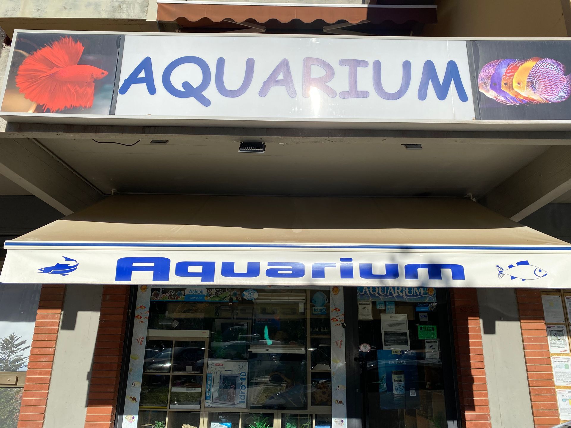 Aquarium Scandicci (Firenze)