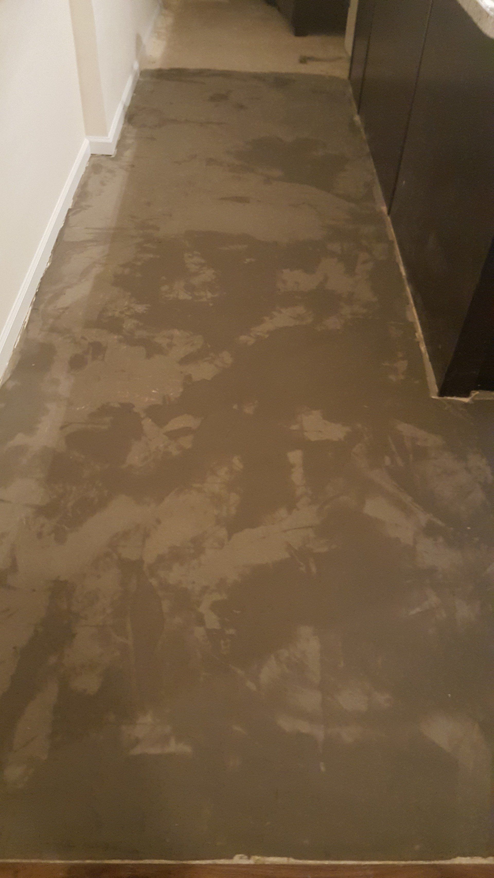 Our Work Quality Queen Carpet Cleaning, Extractions and More