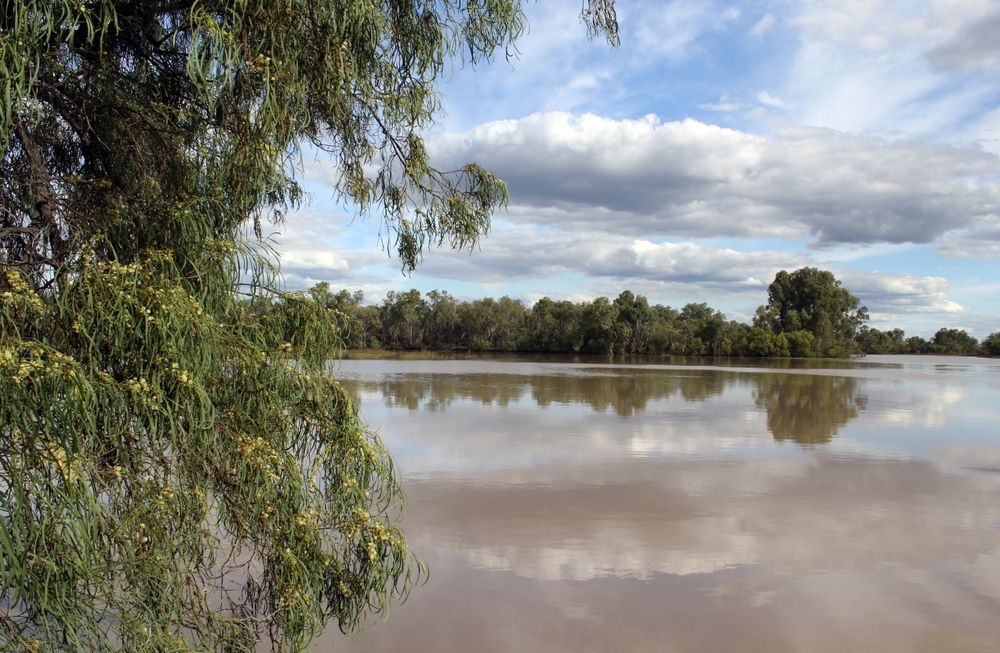 Flood Waters Reflect Cloudy Sky and Trees. A Branch of Foliage in the Foreground — Frontier Security in Chinchilla, QLD