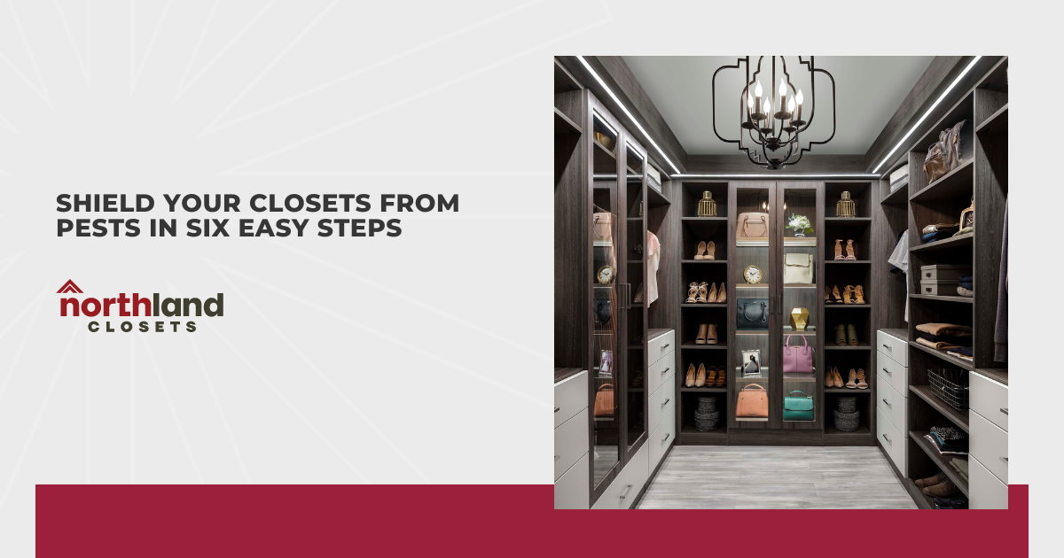 Shield Your Closets From Pests in Six Easy Steps