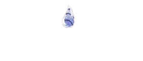 AP Plumbing and Gas  logo