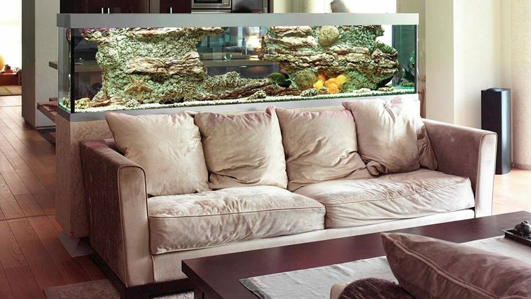 A living room with a couch and an aquarium behind it