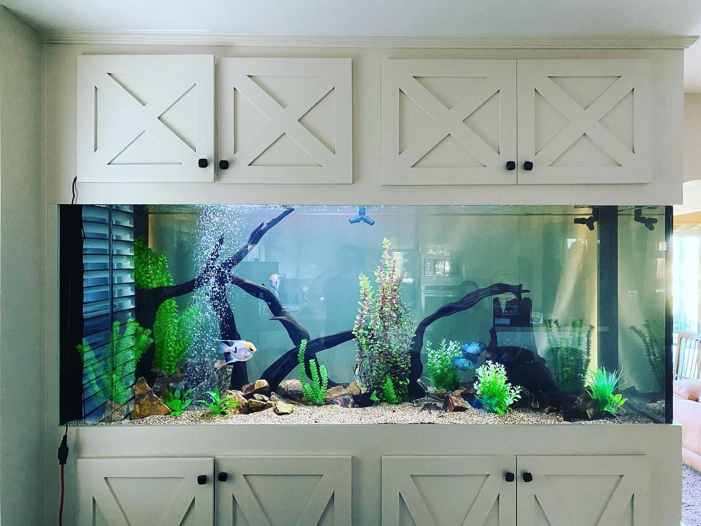 A large fish tank in a living room with white cabinets