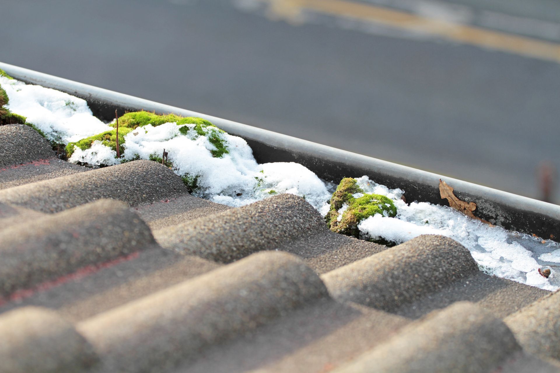 Snow and moss in a roof gutter, with gray tiles and a street in the background.