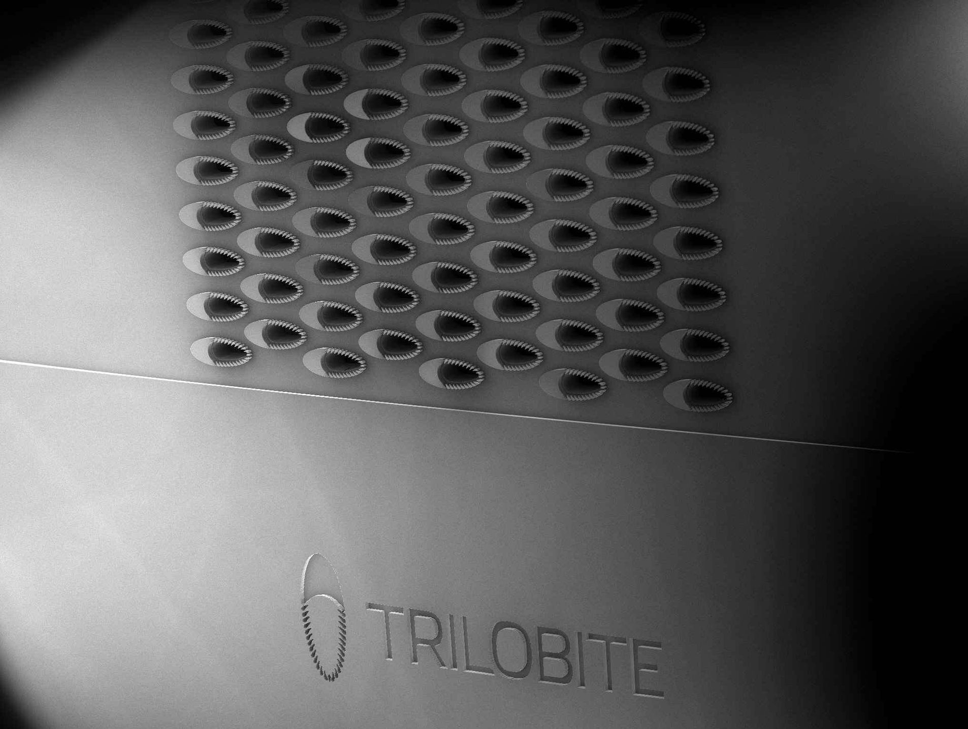 A black and white photo of a trilobite product