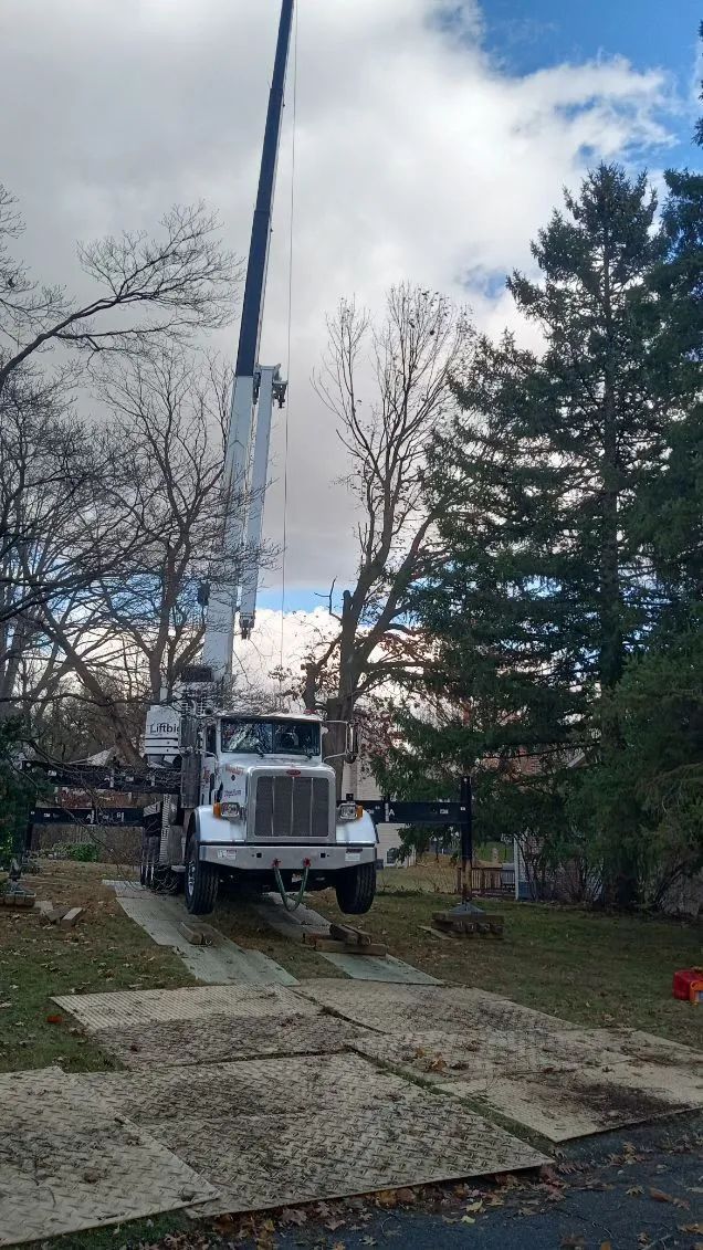 A large white truck with a crane trimming a tree on a driveway under a cloudy sky.