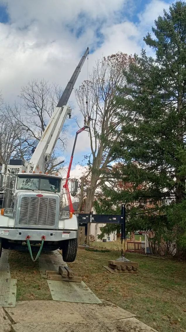 A crane trimming a tree with a worker in the lift. Truck parked on a grassy yard, cloudy sky.