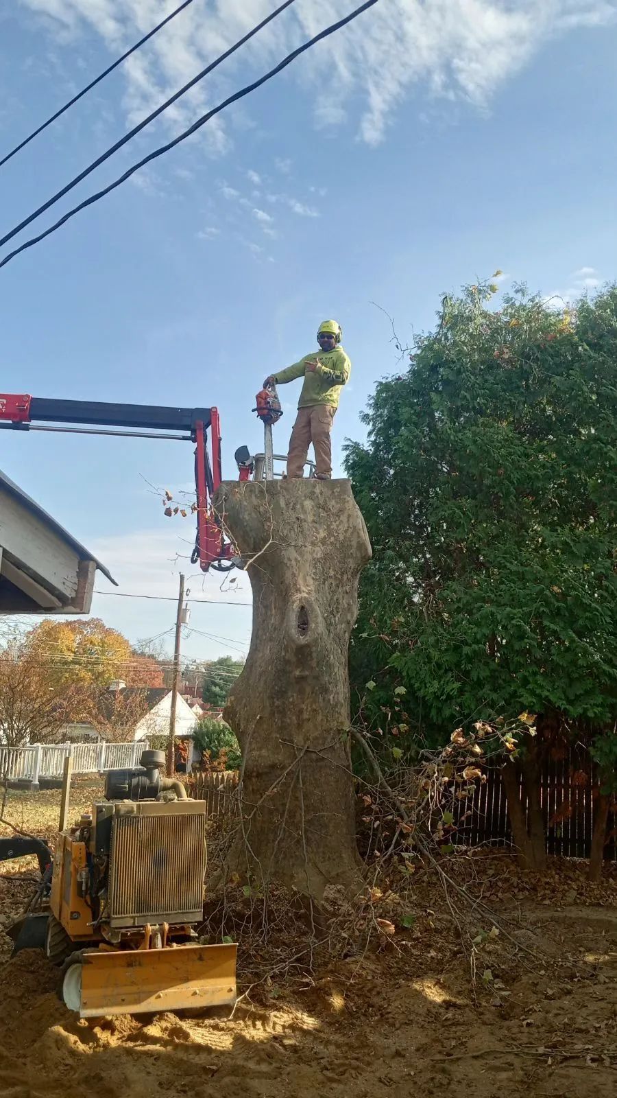 Tree worker uses a chainsaw on a tall tree stump, lifted by a crane. House and leafy bush visible.