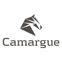 Geometric horse head logo above the word