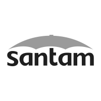 Santam logo with a gray umbrella shape above the black word